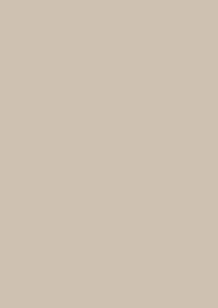 Zenolite Khaki High Gloss Panel